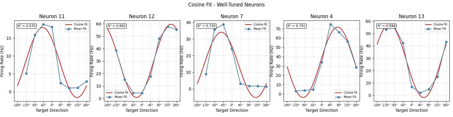 Cosine fits (red) against measured firing rates for five well-tuned neurons, R² = 0