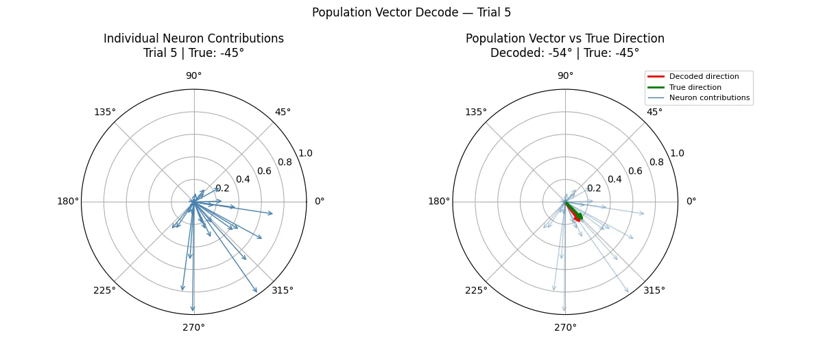 Motor Cortex Decoder